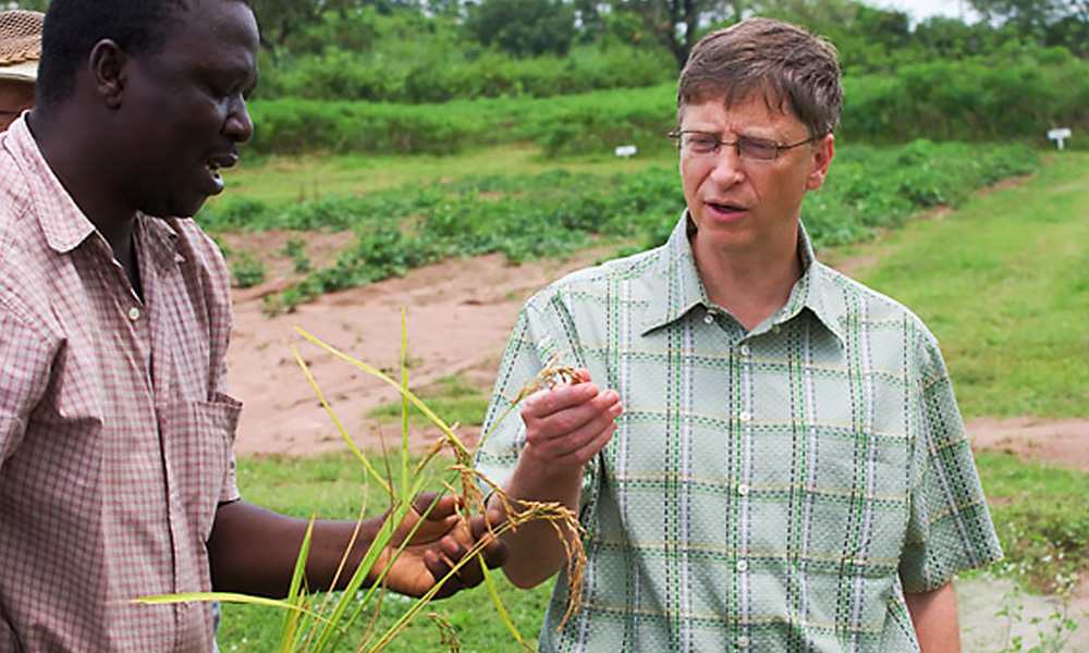tarim-milyarderi-bill-gates1.jpg