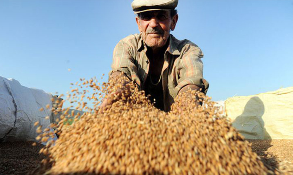 tarimsiz-bir-ronesans-mumkun-mu1.jpg