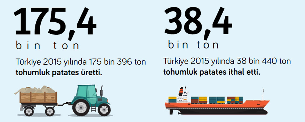 tohumluk-patateste-burokrasi-uretici-aleyhine-isliyor3.jpg