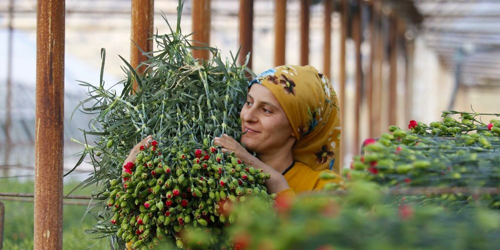 turkiye-de-tarimin-bir-yili-boylu-gecti10.jpg