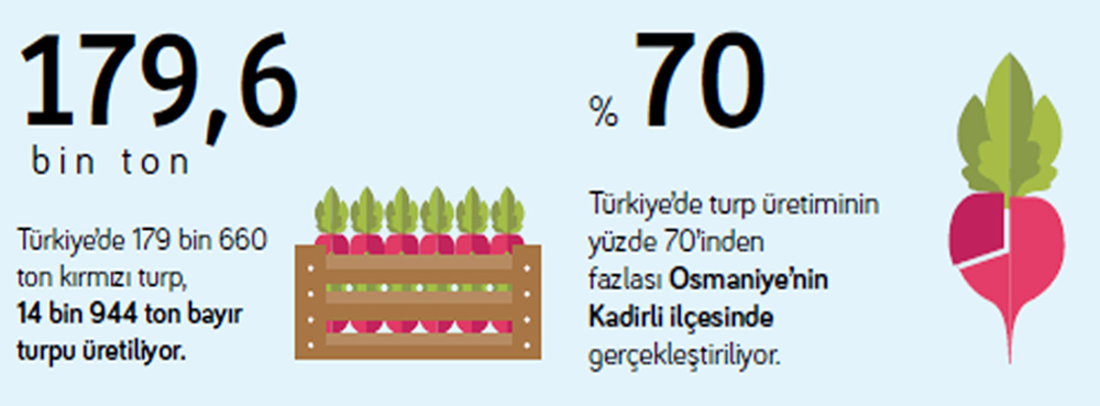 turp-icin-takim-oyunu-zamani2.jpg