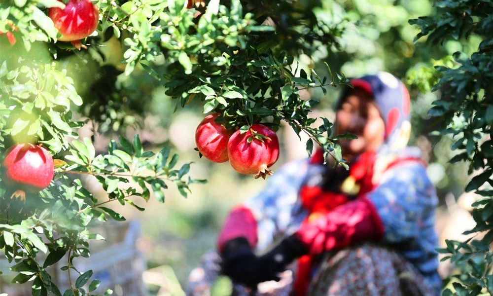 uretilen-bin-tane-tuketilen-bir-tane.jpg