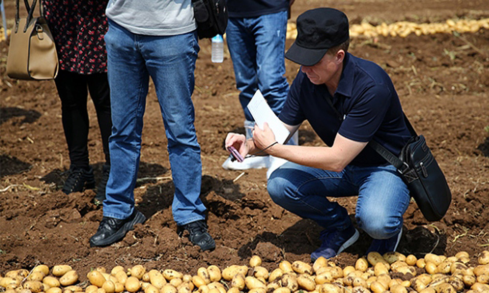 yerli-patates-uluslararasi-vitrinde1.jpg