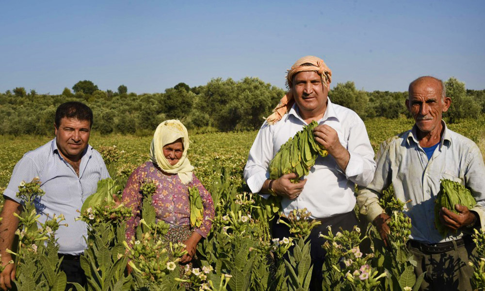 yerli-tutun-torba-yasa-kiskacinda1.JPG