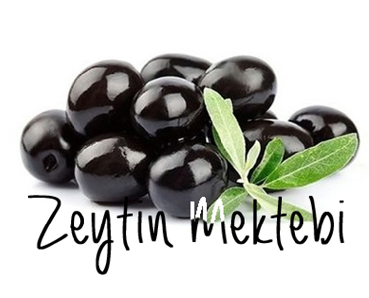 zeytin-okulu-mezunlarini-verdi1.jpg